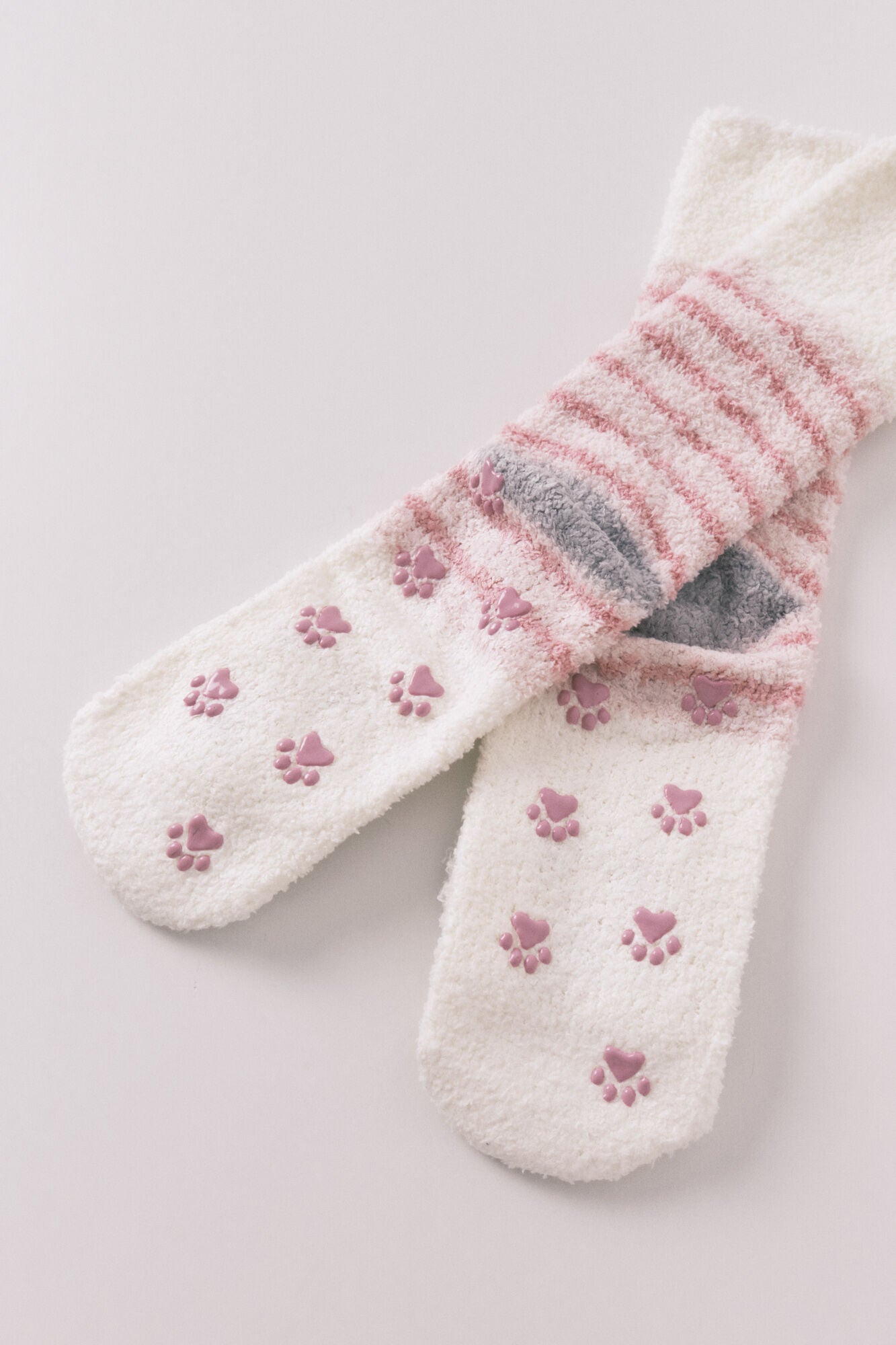 White dog long socks