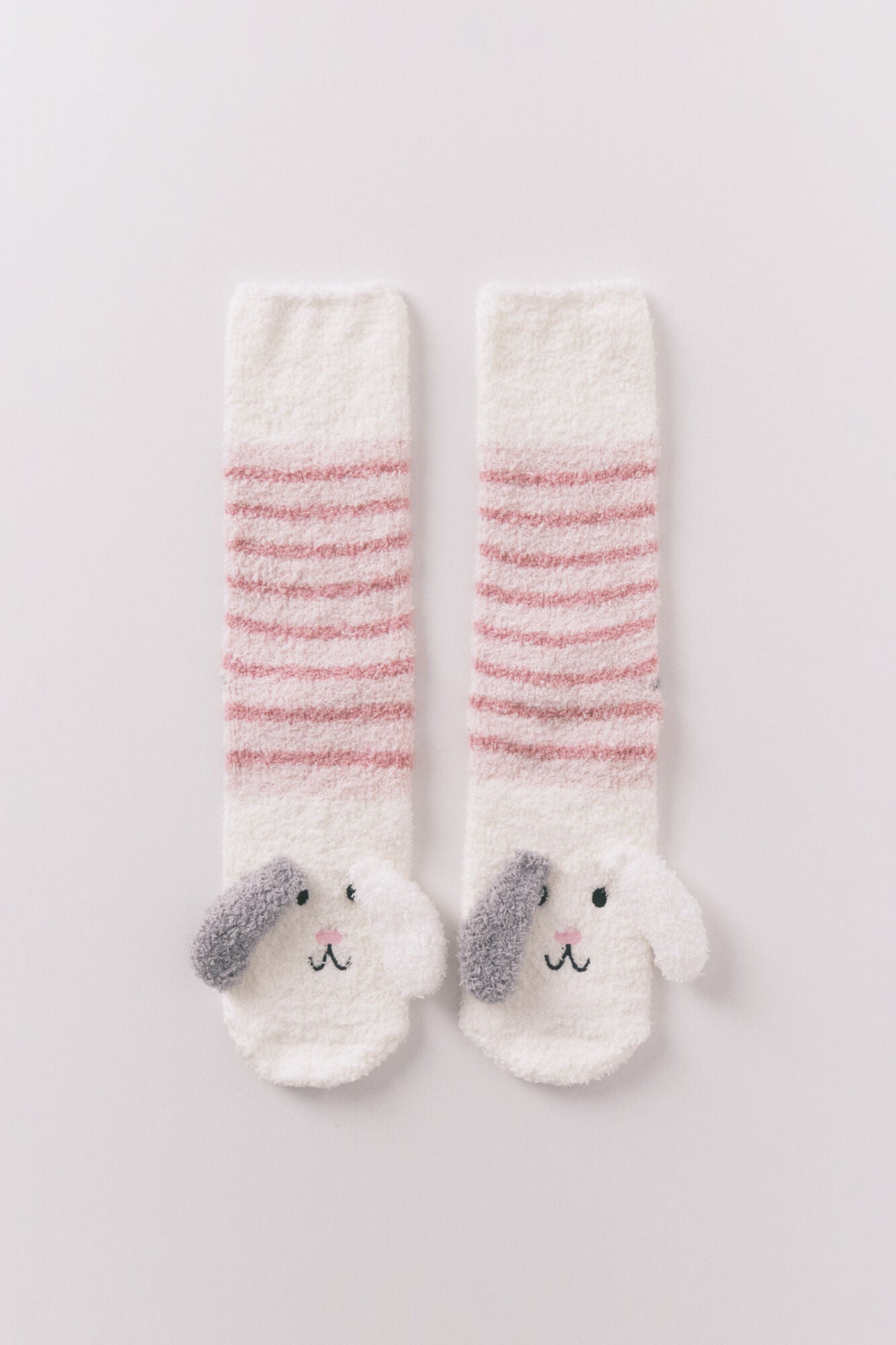 White dog long socks
