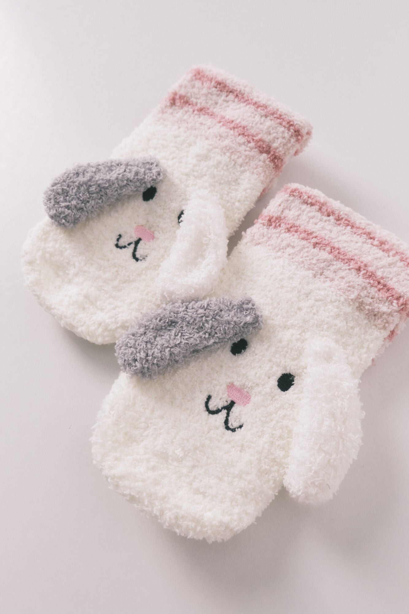 White dog long socks
