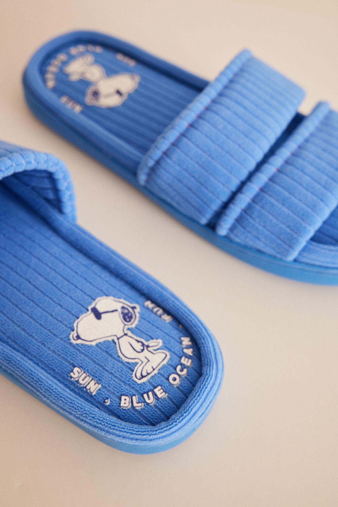 Snoopy blue house slippers