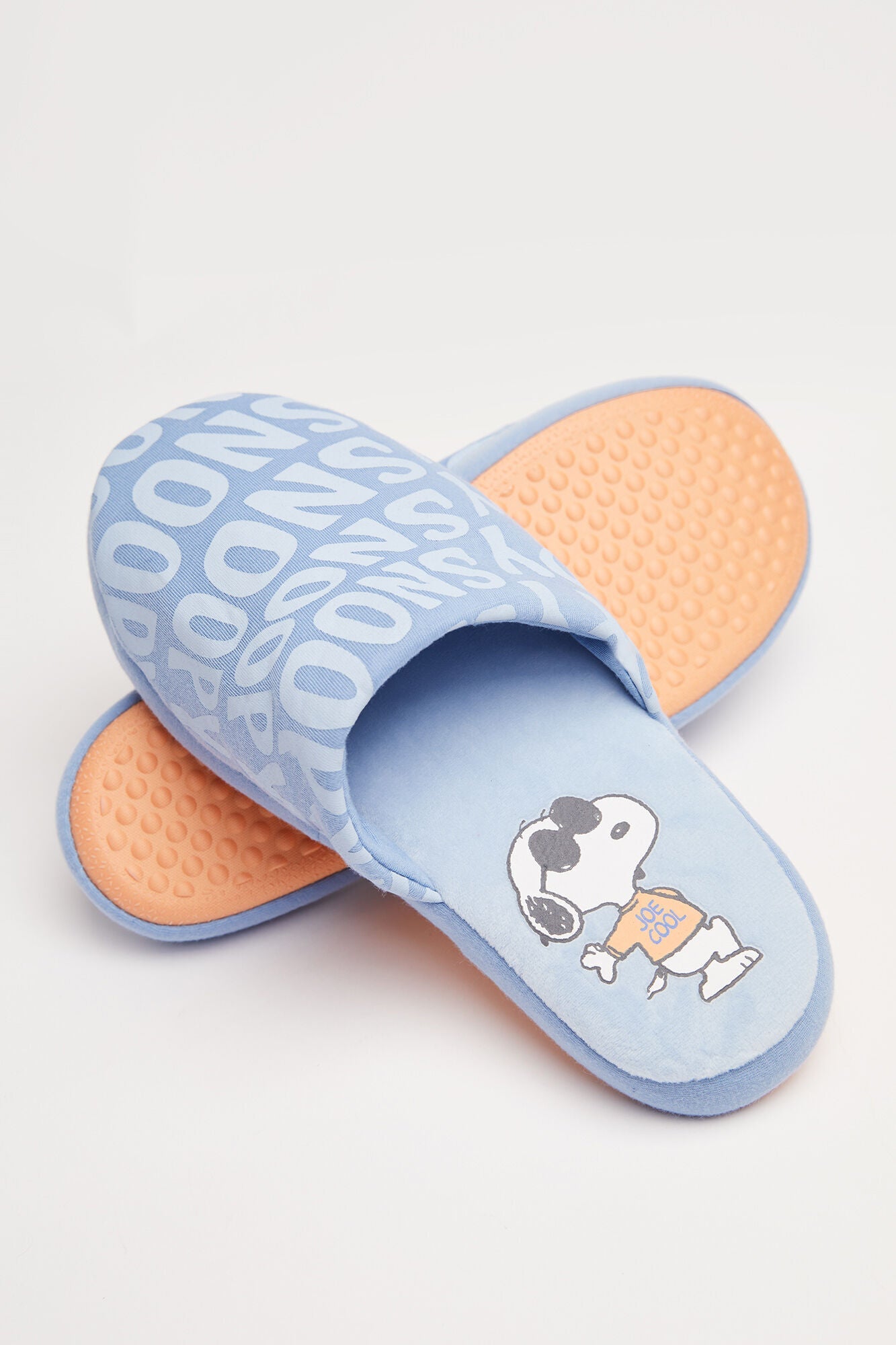 Snoopy Slippers